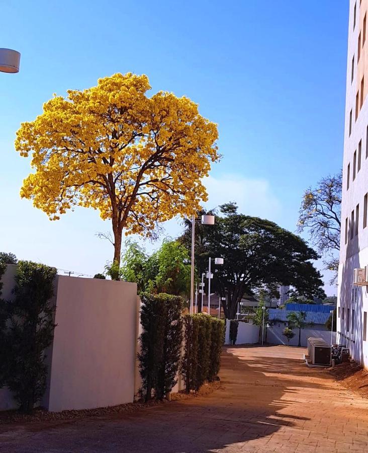 Ibis Sertãozinho エクステリア 写真